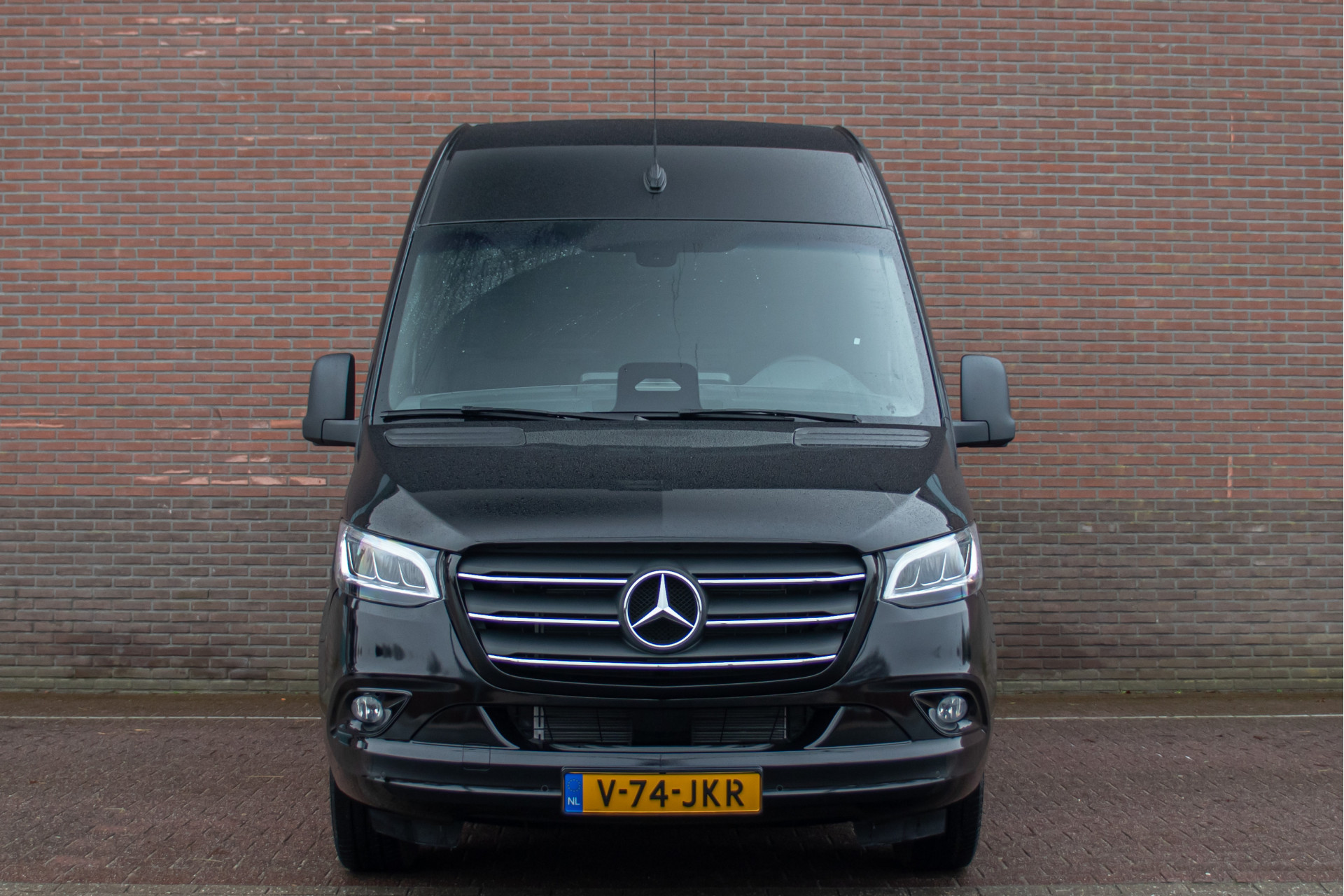 41894710-5.jpg
