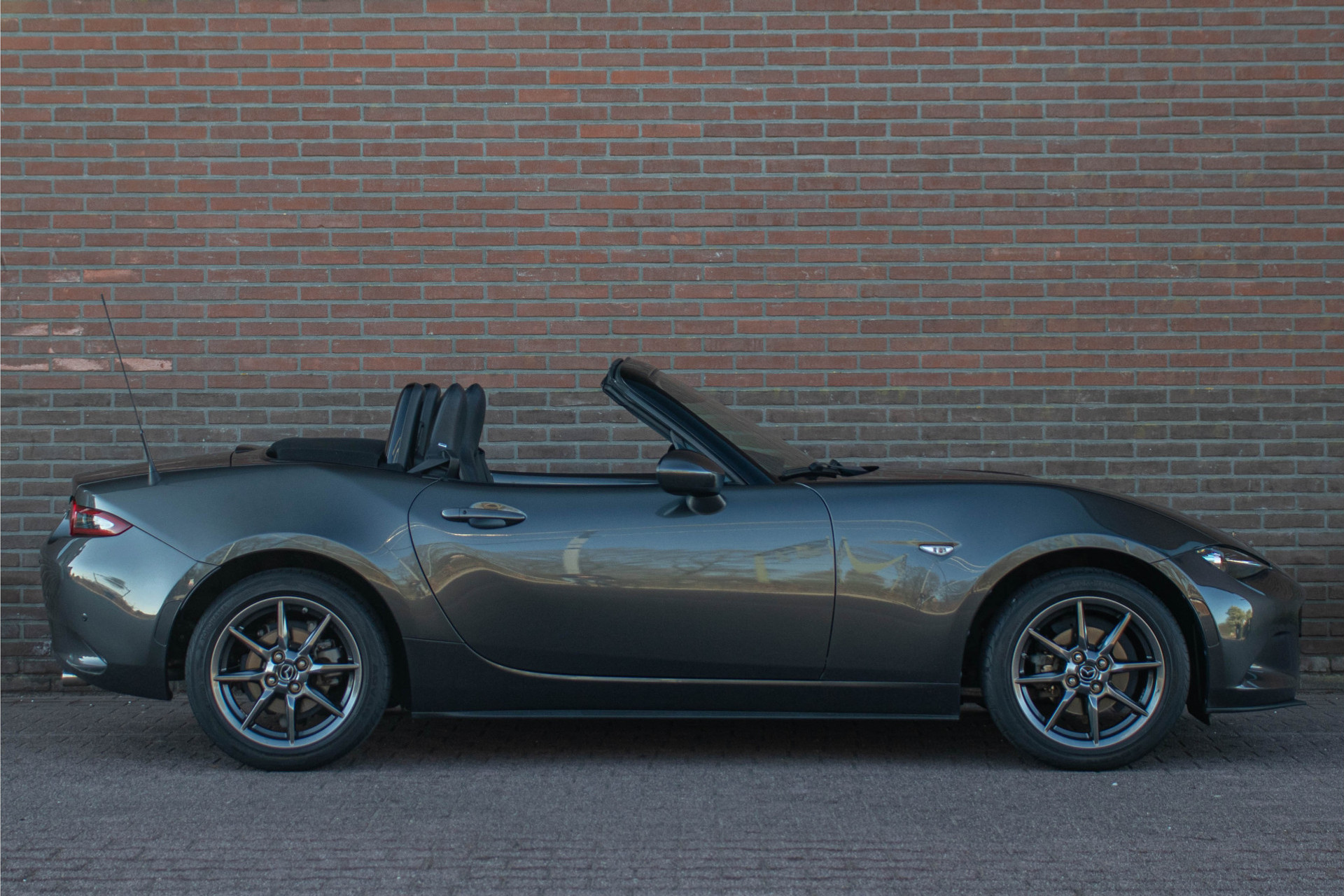 43960656-13.jpg