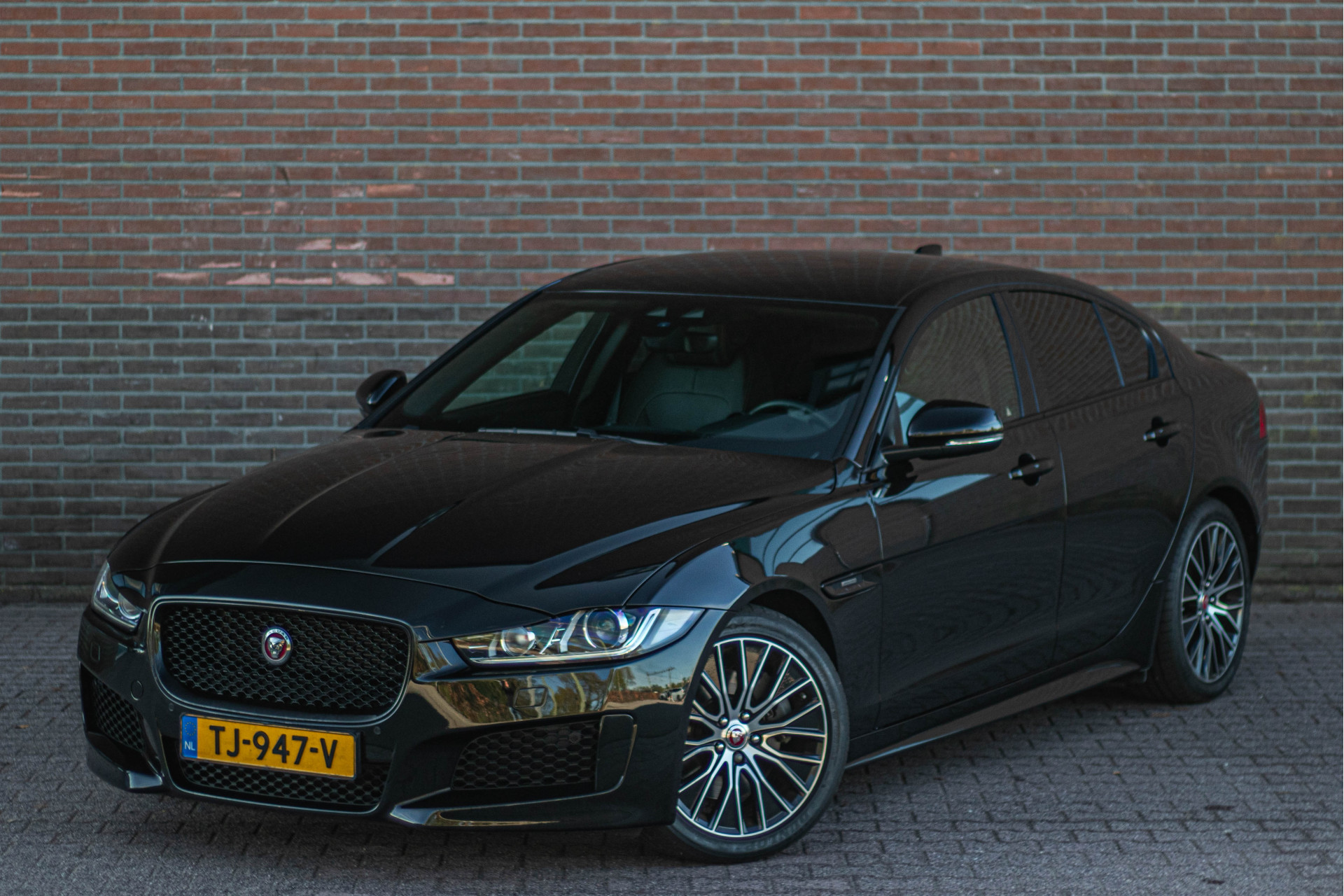 44110064-1.jpg