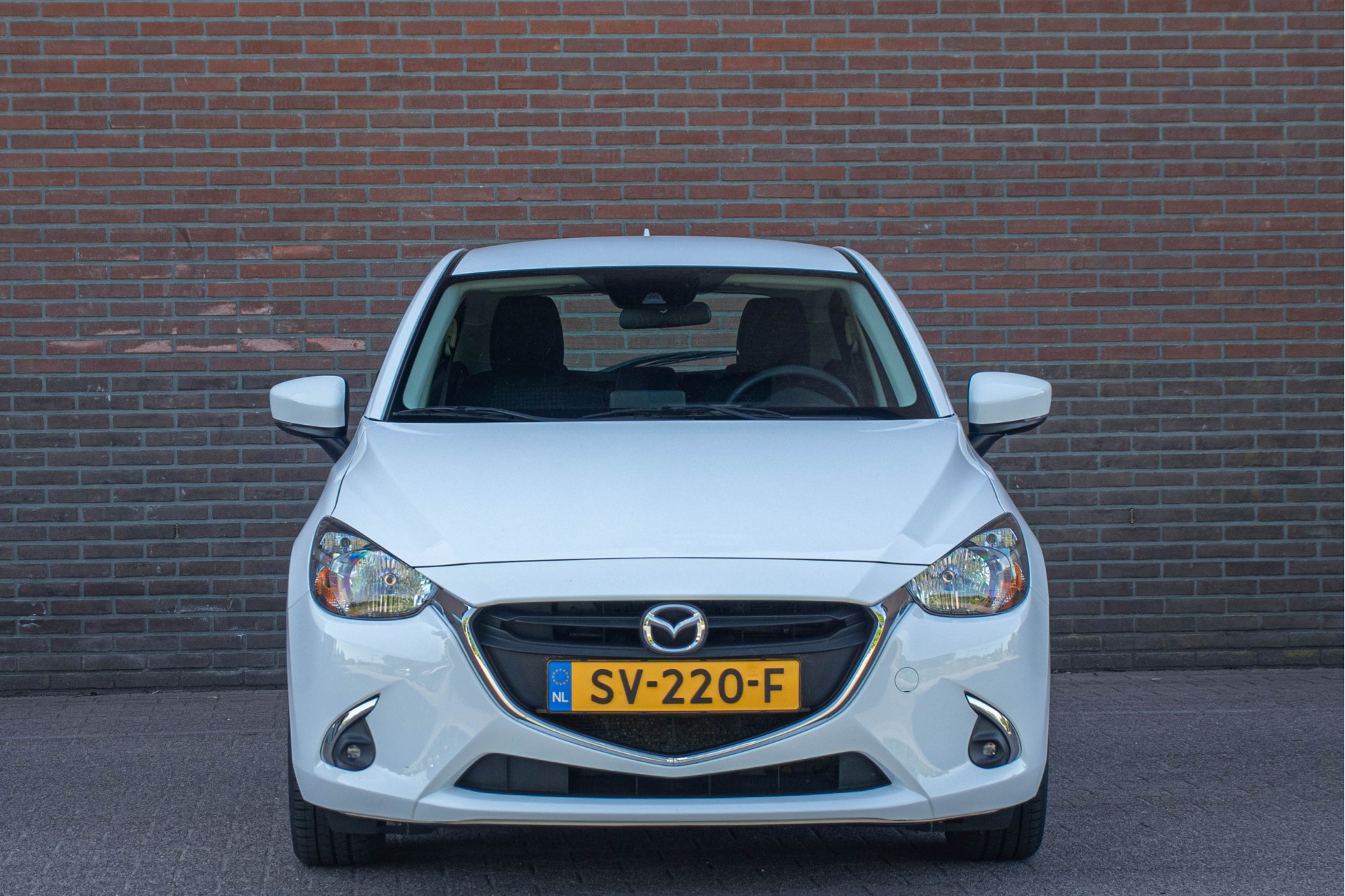 44325445-5.jpg