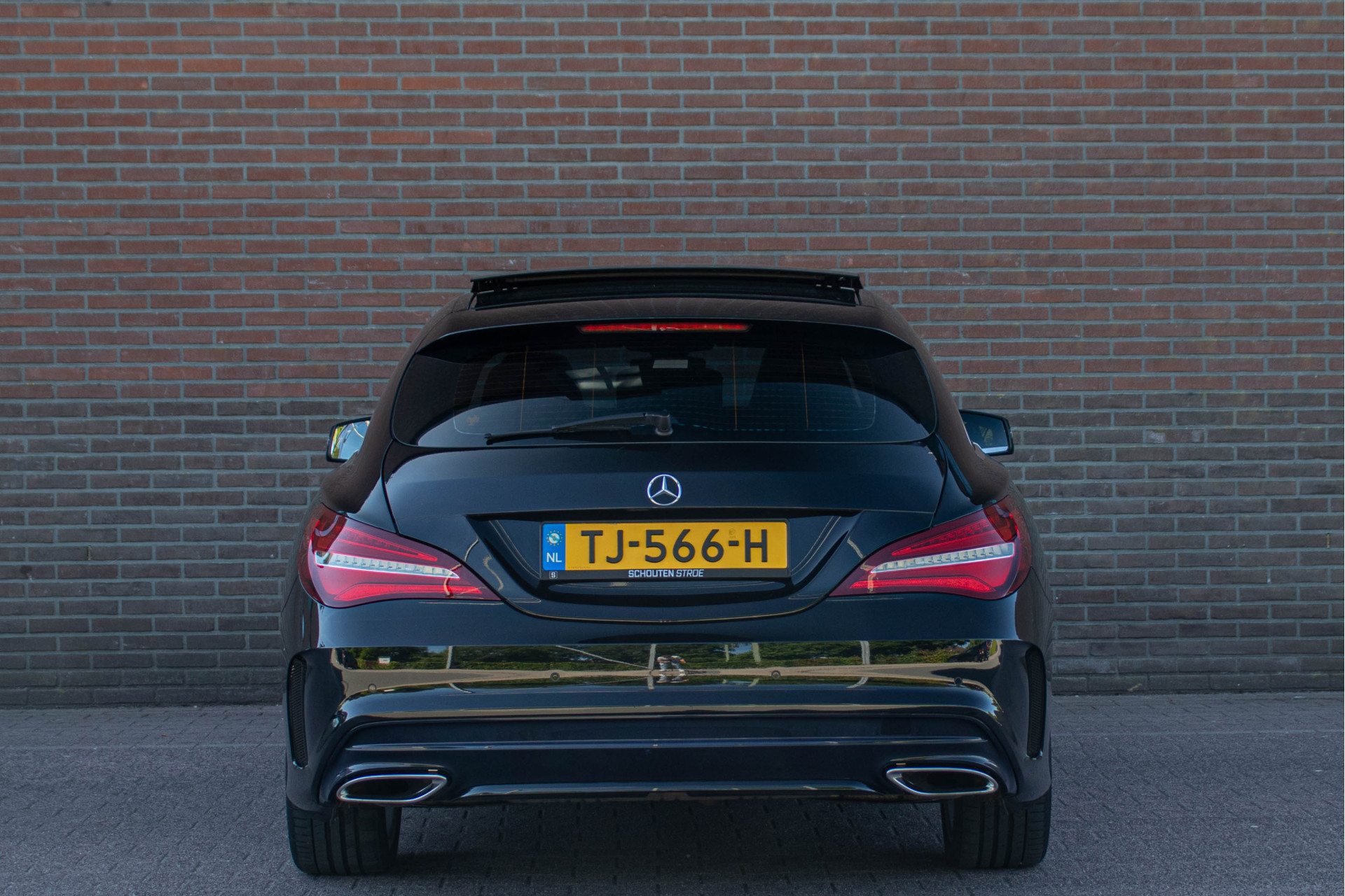 44481408-20.jpg