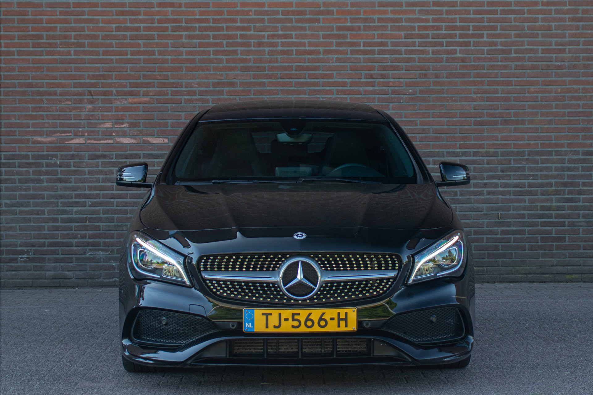 44481408-5.jpg