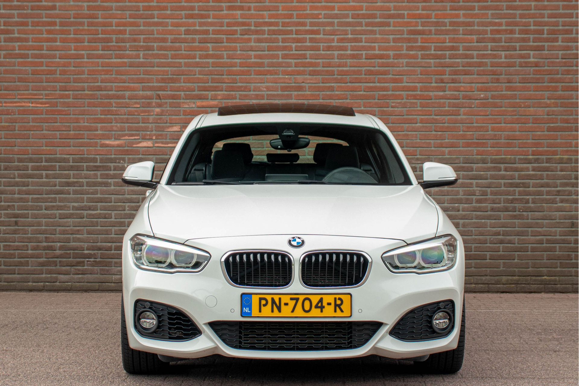 44808226-5.jpg