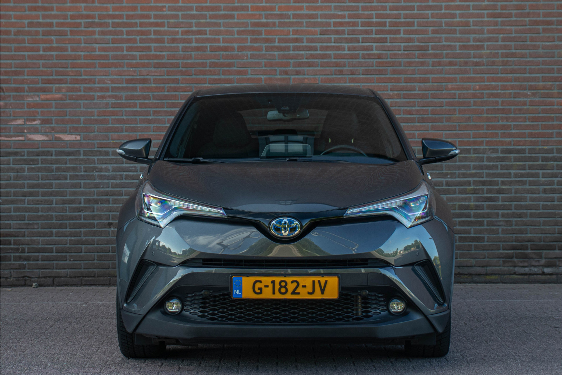 45059374-5.jpg