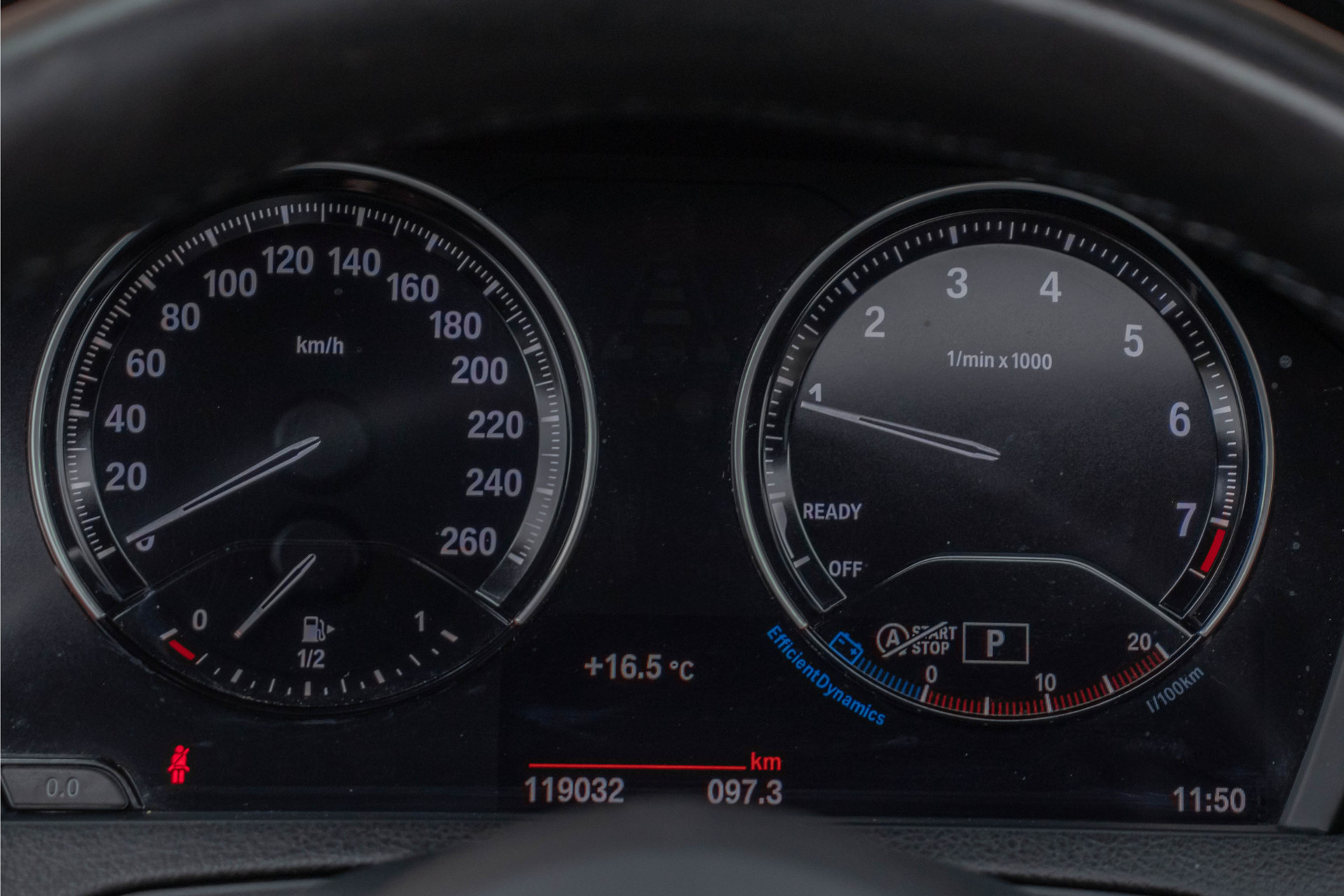 45577742-3.jpg