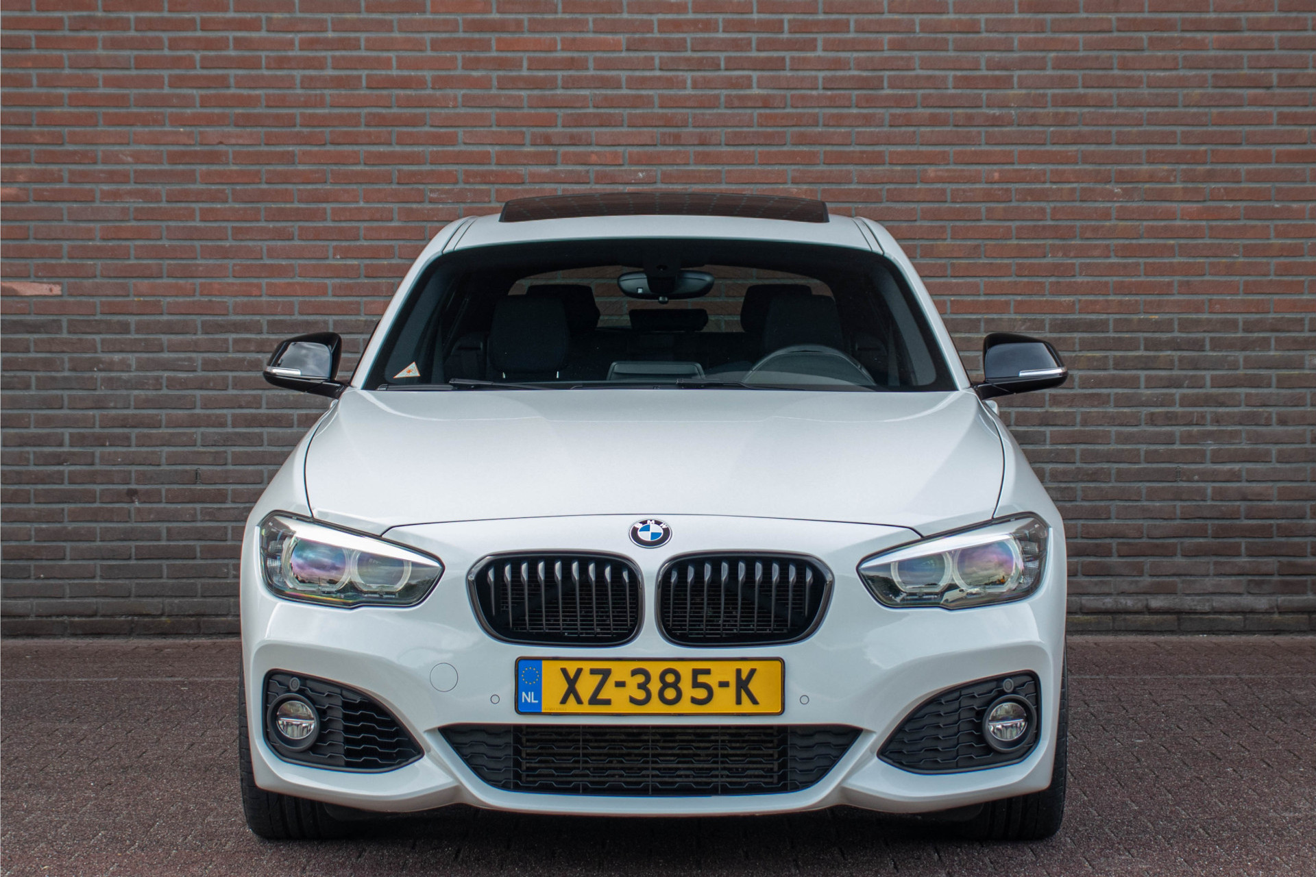 45577742-5.jpg