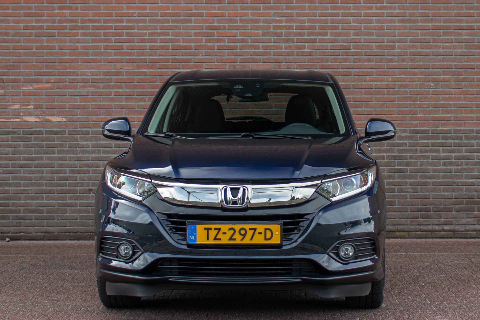 45578096-5.jpg