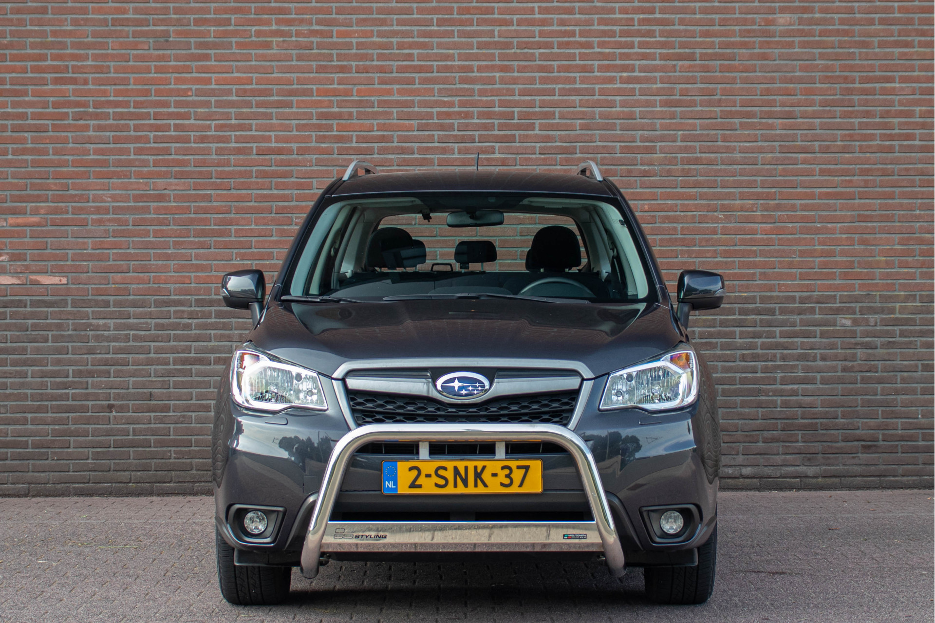 45713334-5.jpg
