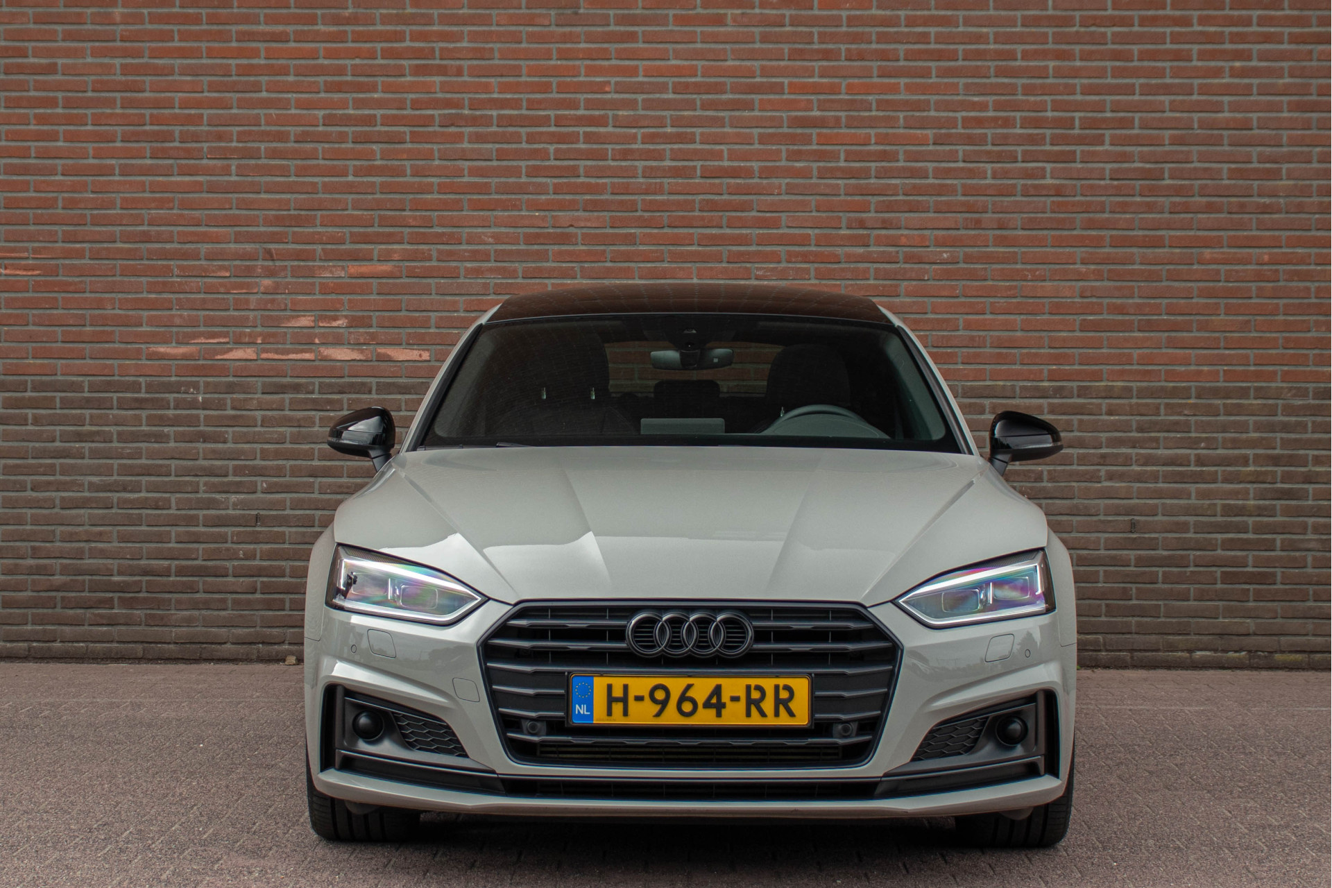46022050-5.jpg