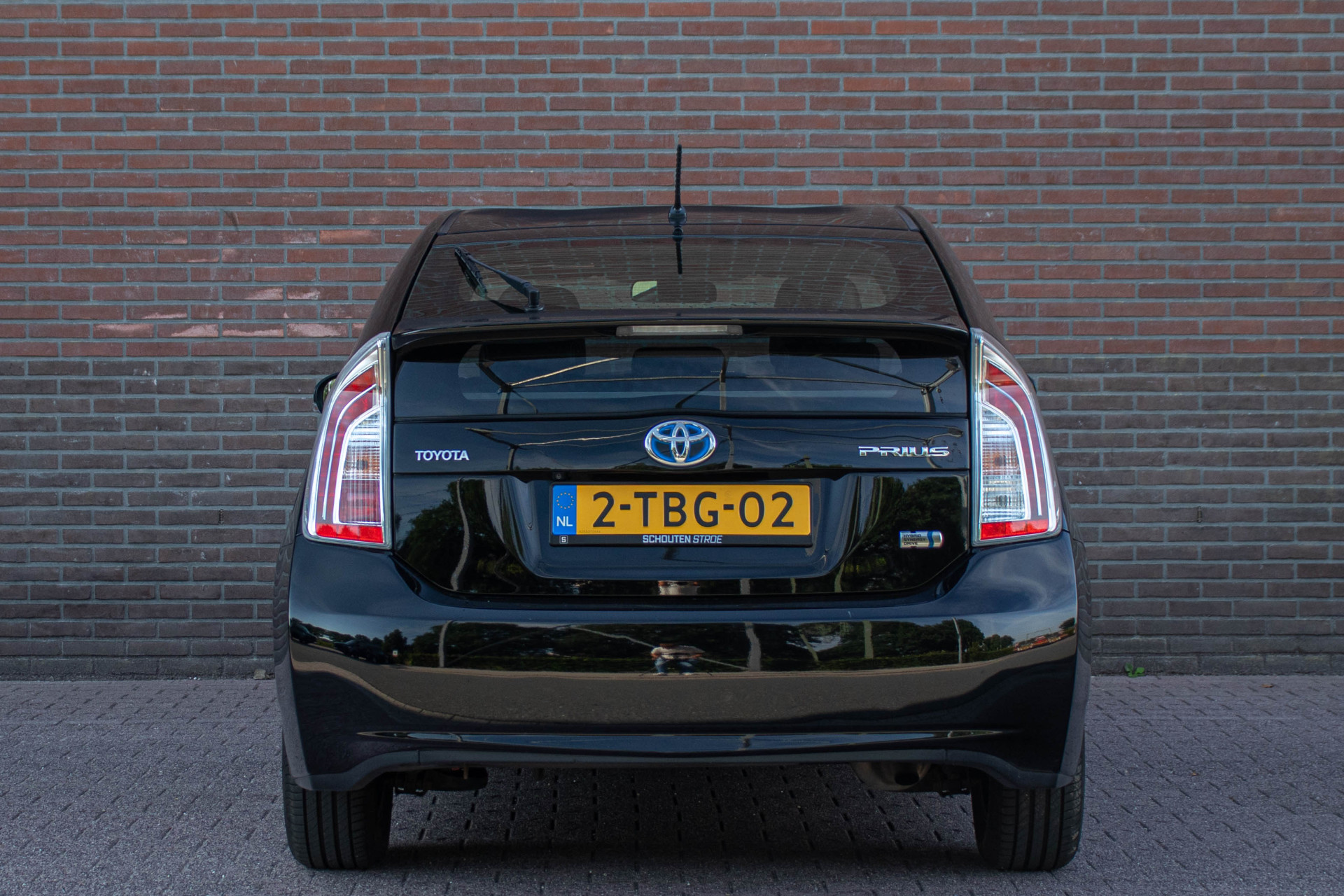 46160371-24.jpg