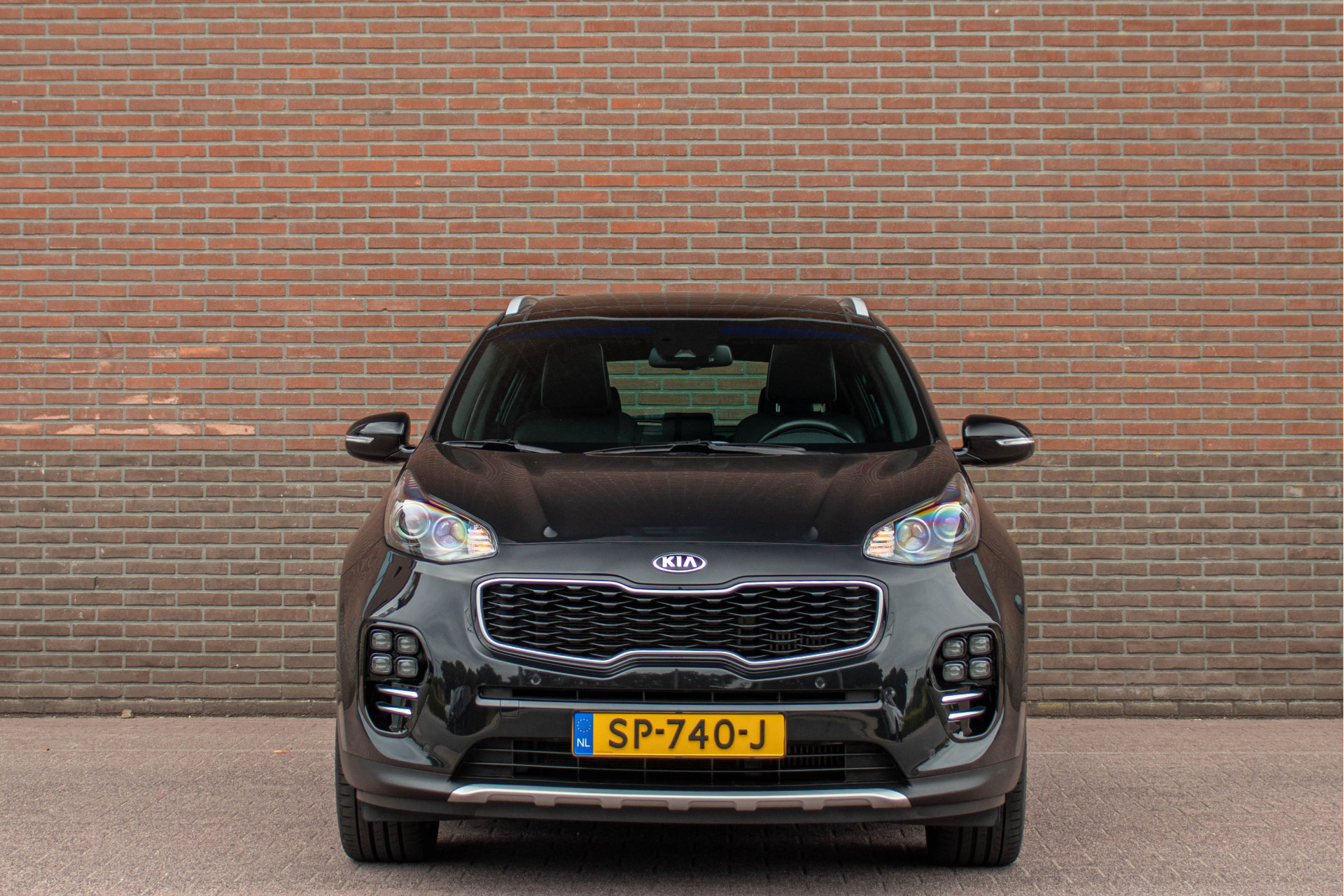 46160614-5.jpg