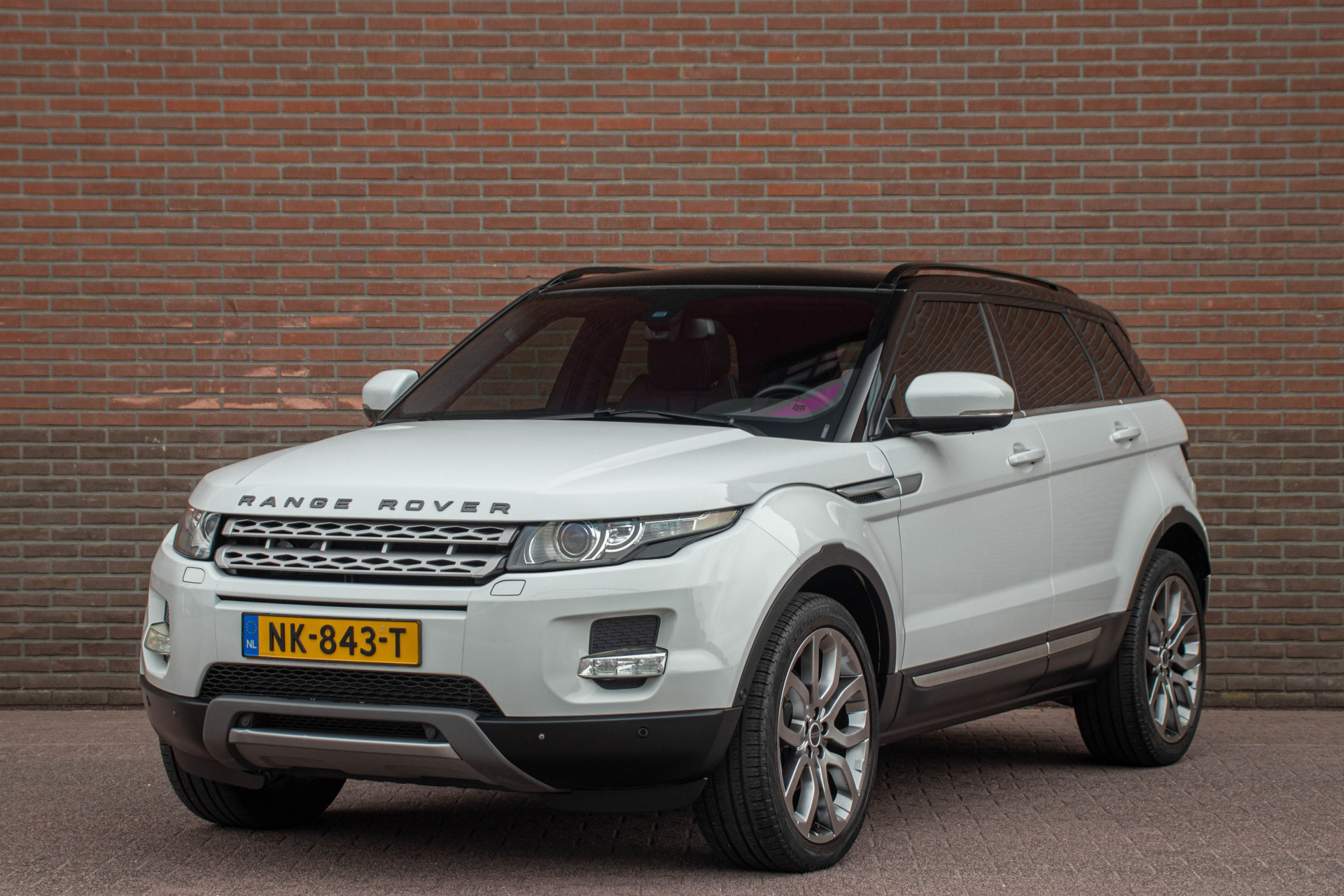 46163533-4.jpg