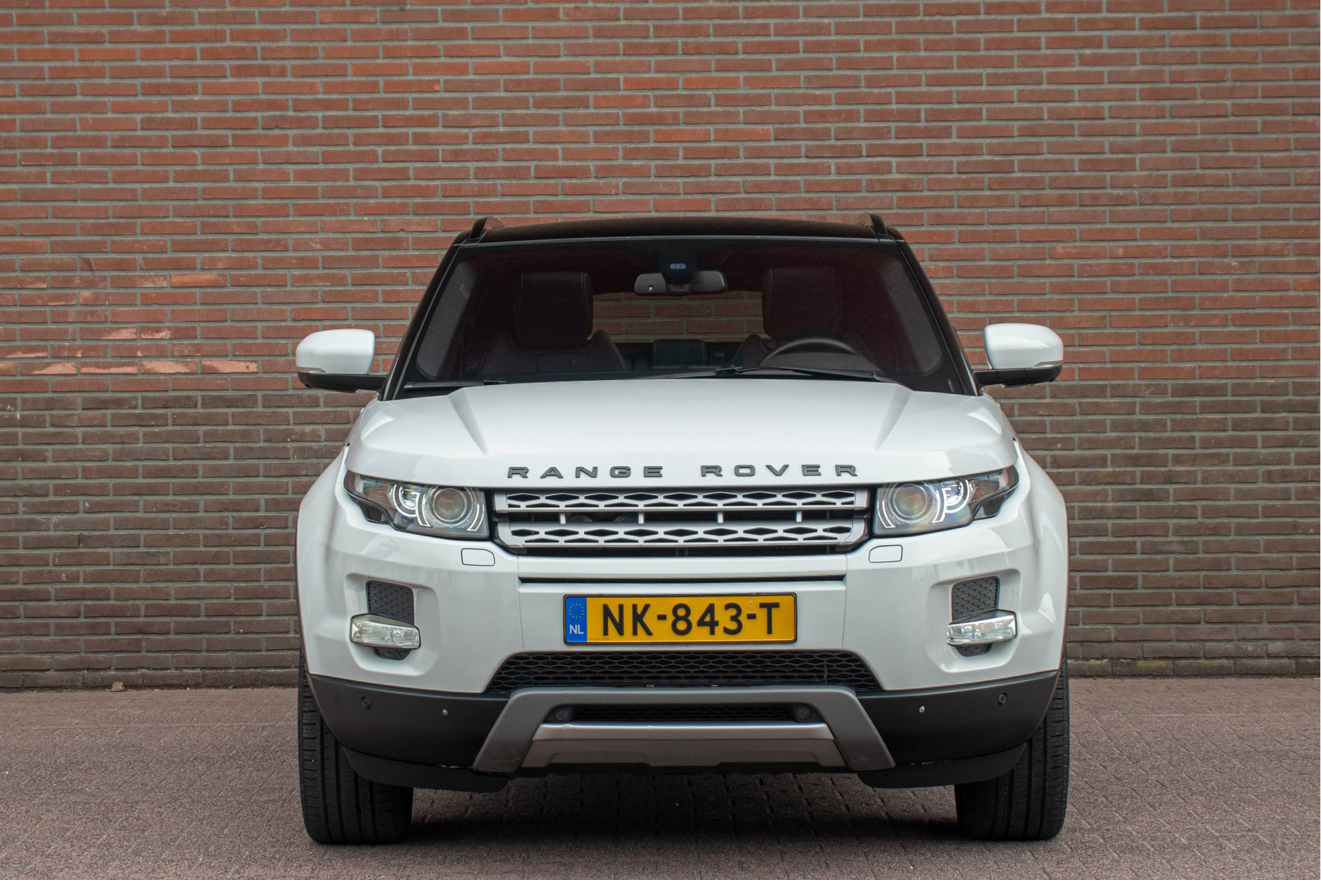 46163533-5.jpg