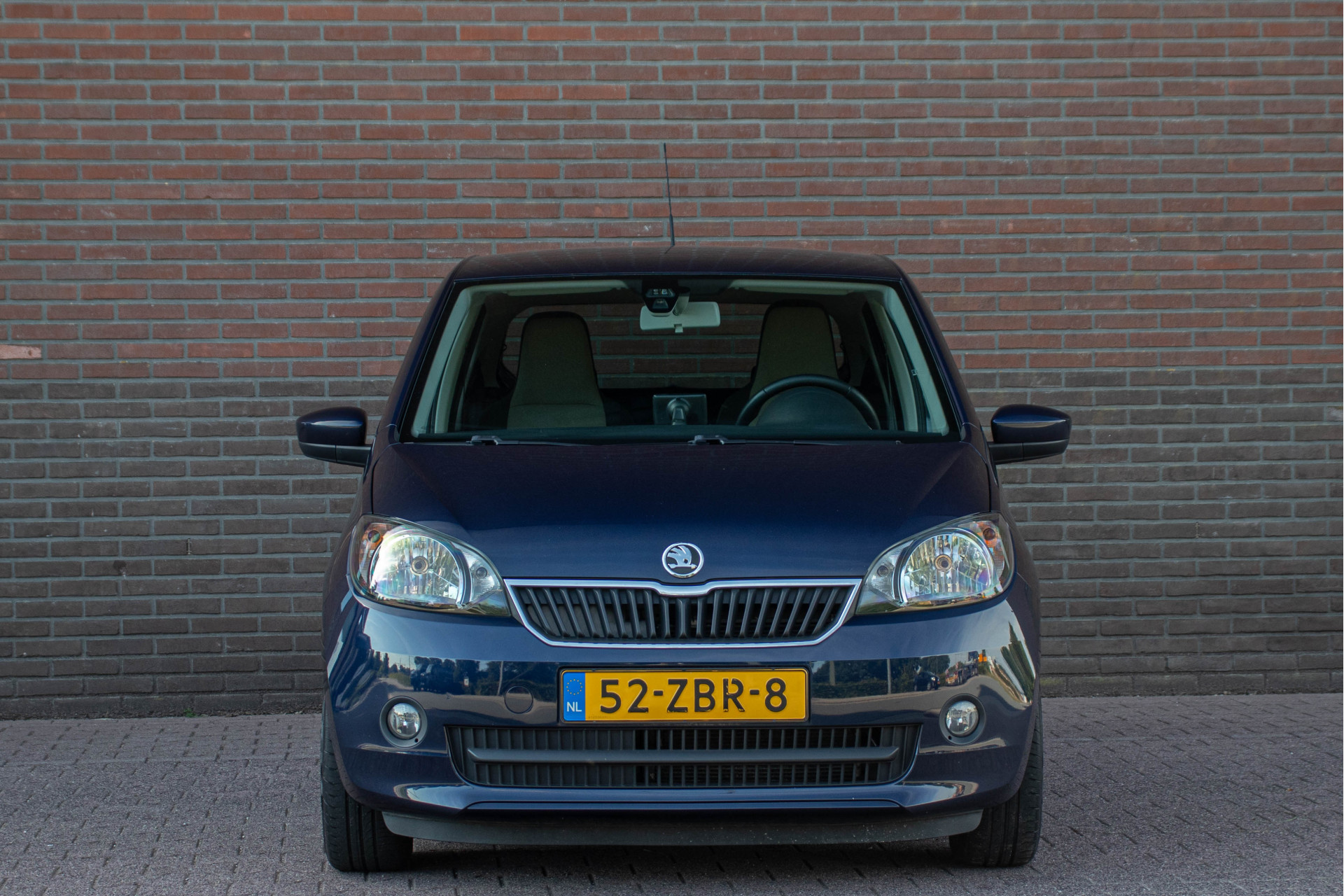 46397732-5.jpg