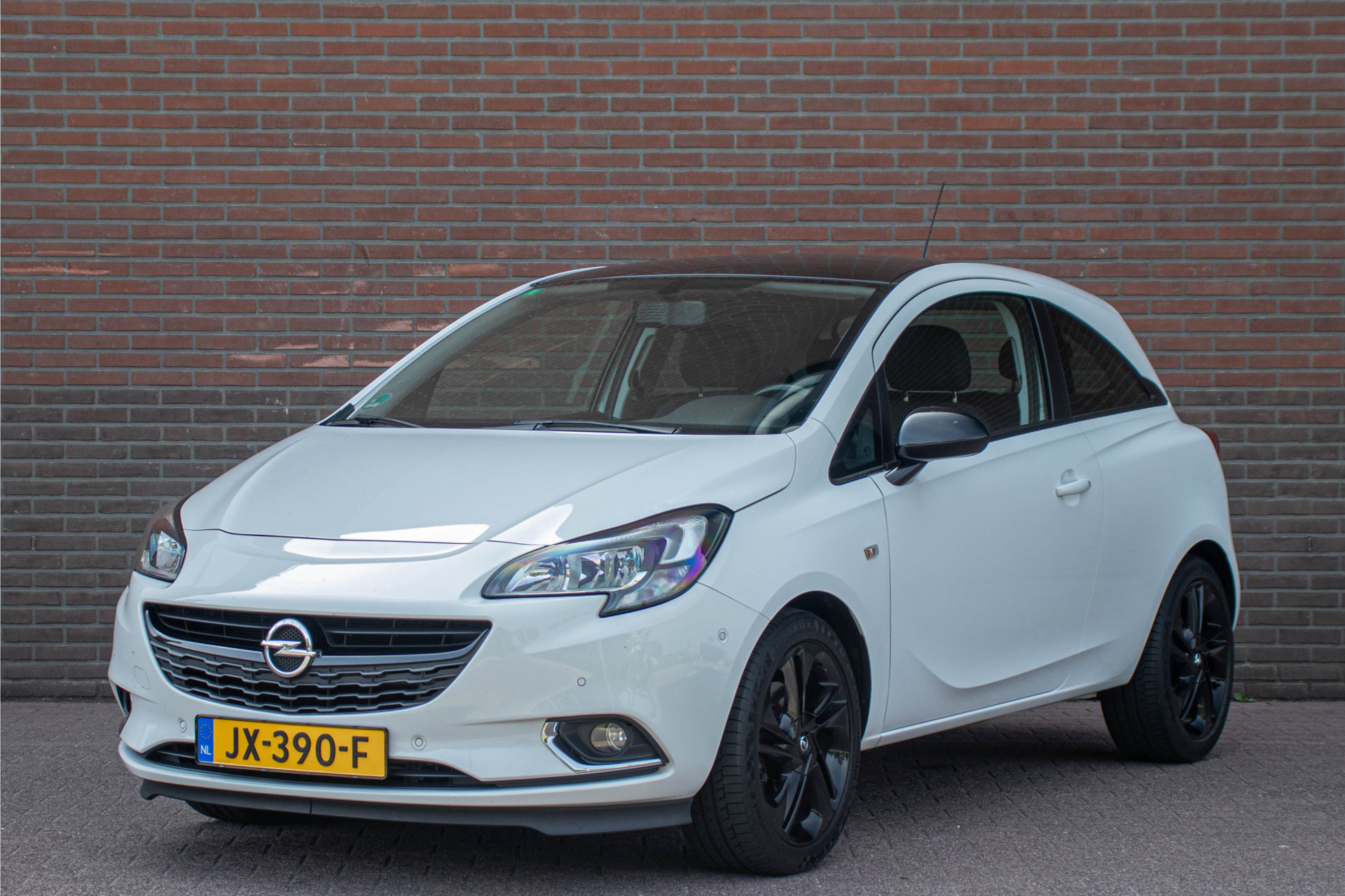 46415431-4.jpg
