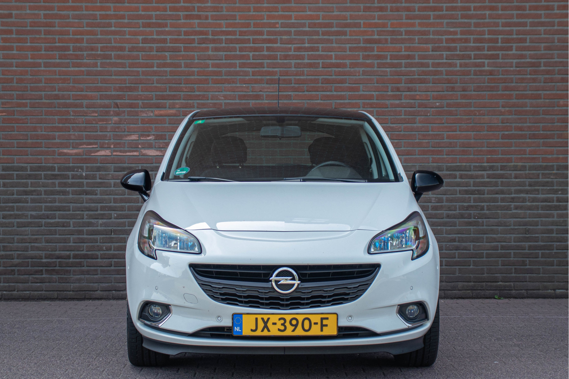 46415431-5.jpg