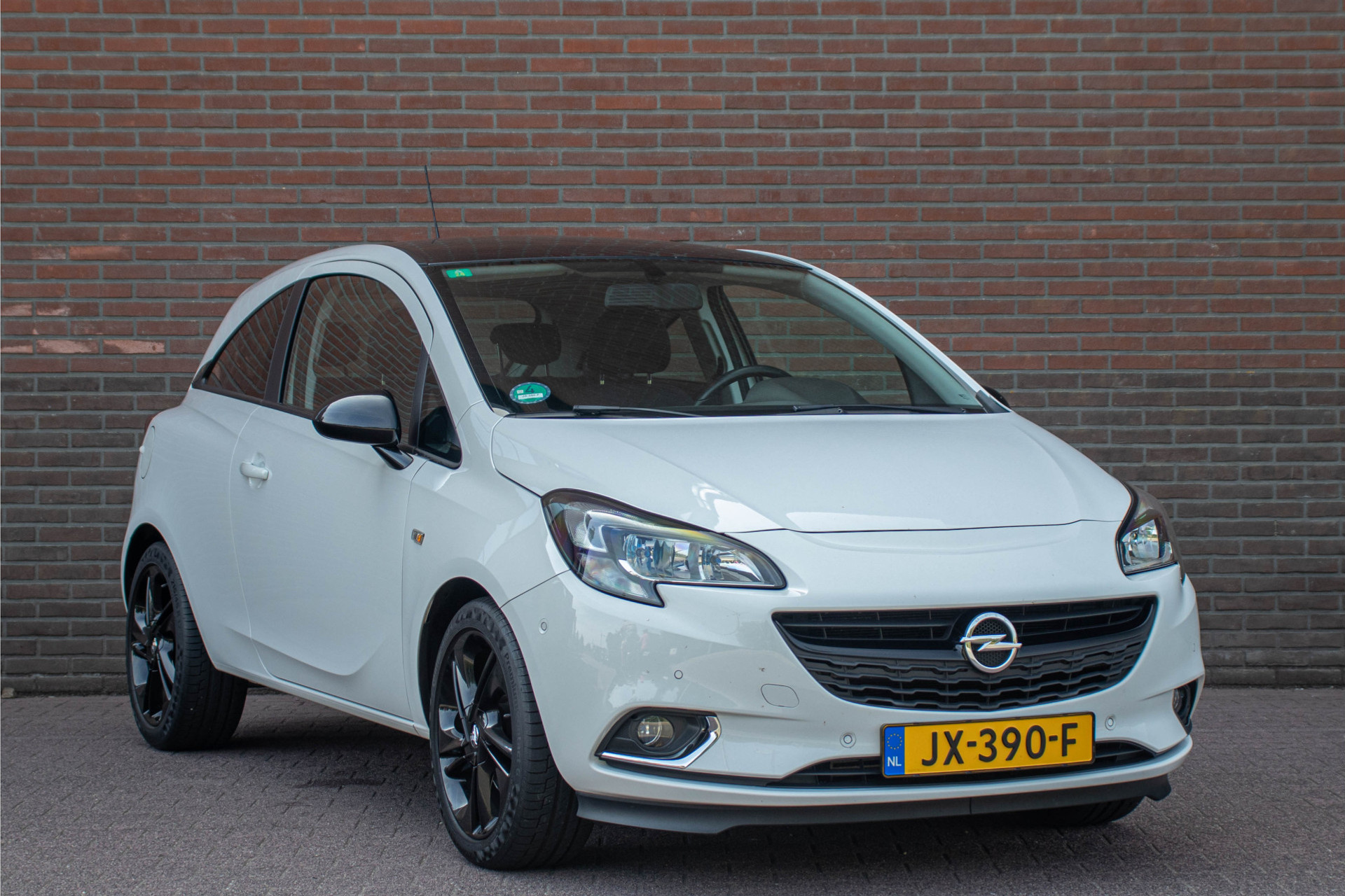 46415431-6.jpg