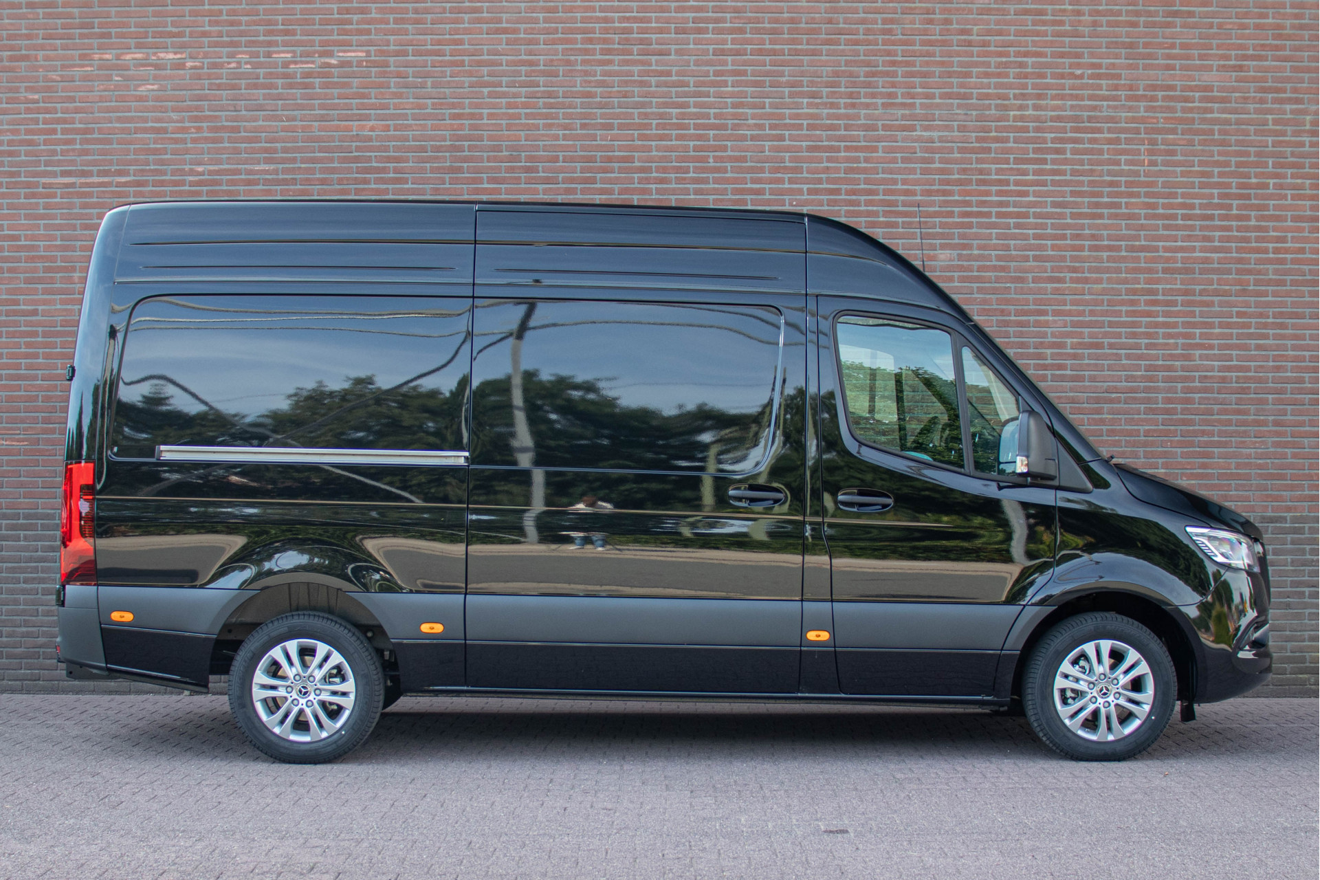 46511372-10.jpg